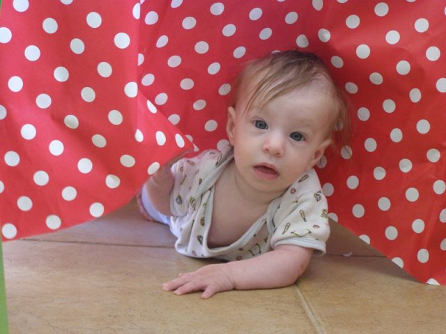 ילדה קטנה שלי, לאן את רצה?